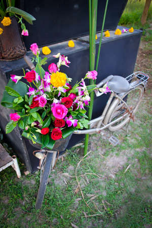 Old bicycle and flowersの写真素材