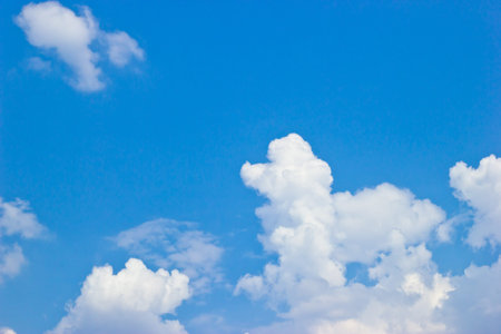 Poodle dog-shaped cloud in the blue sky.