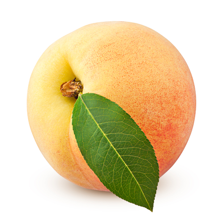 Peach isolated on white backgroundの写真素材