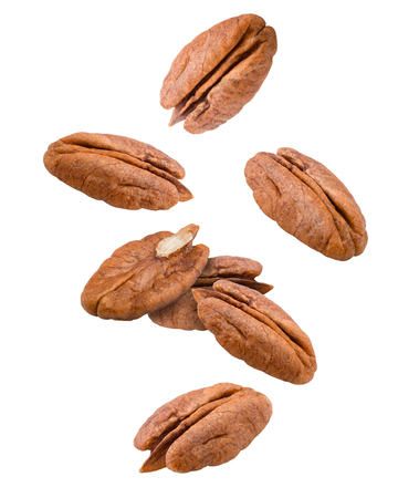 Falling pecan, nut, isolated on white background, clipping path, full depth of fieldの写真素材