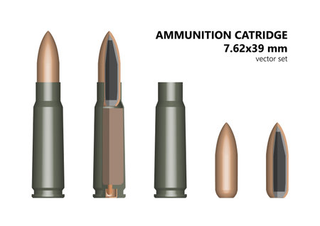 cartridge, bullet, cartridge, Kalashnikov, set, 7.62のイラスト素材