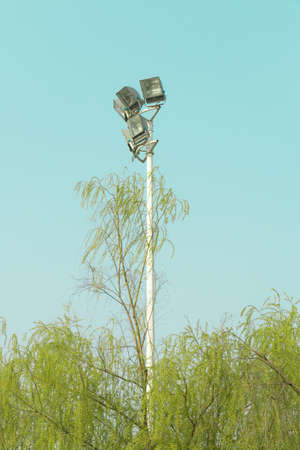 High streetlamp stands among willow tree's surrounding.の写真素材