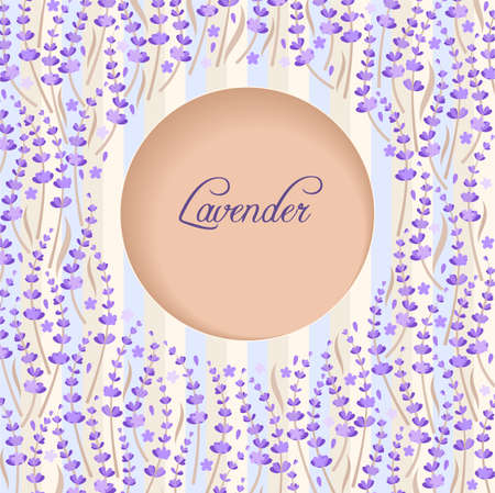 Illustration of postcard with lavenderのイラスト素材