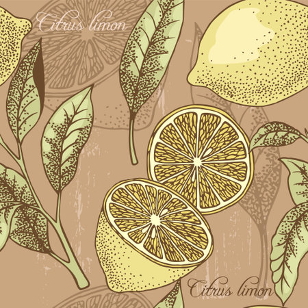 Vintage lemon seamless background made in EPS 10のイラスト素材