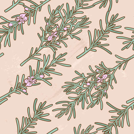 Seamless branches of rosemary backgroundのイラスト素材
