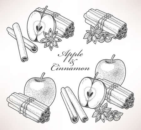 Set of apple and cinnamon hand drawn compositionsのイラスト素材