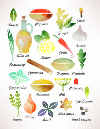Set of various spices and herbs for cookingのイラスト素材