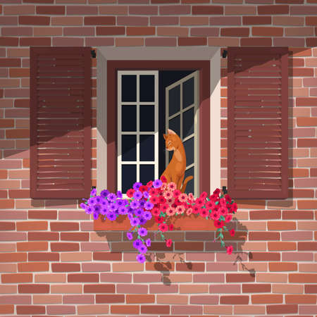 Illustration of open window with colorful petunia and the catのイラスト素材