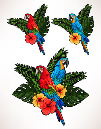 Illustration of macaw, hibiscus flowers and palm leaves