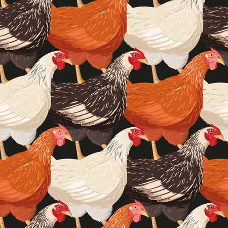 Detailed colorful hens vector seamless background patternのイラスト素材