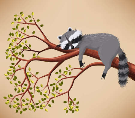 Illustration of cute raccoon taking a rest on the treeのイラスト素材