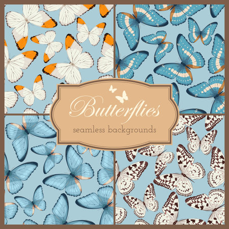 Set of colorful butterflies vector seamless backgroundsのイラスト素材