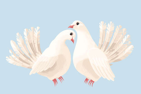 Vector illustration of couple of cute white dovesのイラスト素材