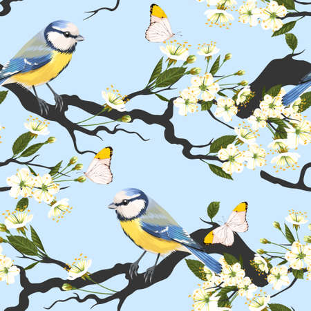 Tomtit on blooming cherry branch vector seamless backgroundのイラスト素材