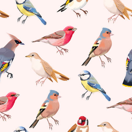 Vintage colorful beautiful songbirds vector seamless backgroundのイラスト素材