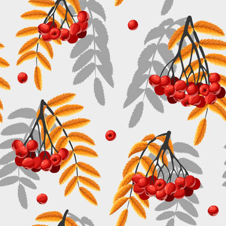 Rowan berries and leaves vector seamless backgroundのイラスト素材