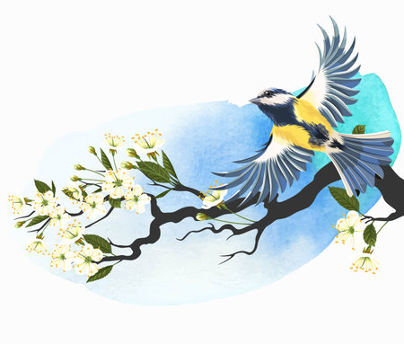 Vector illustration of flying tomtit on the blooming cherry branch on bright watercolor backgroundのイラスト素材