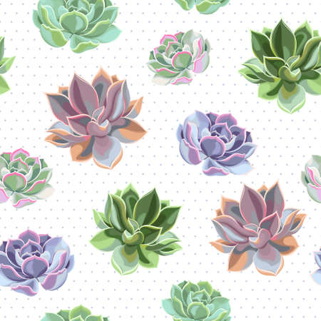 Bright succulents of different color vector seamless backgroundのイラスト素材