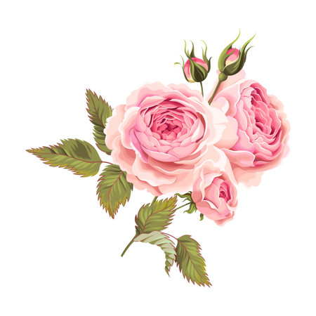 Vector illustration of branch of gorgeous vintage rosesのイラスト素材