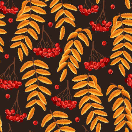 Rowan berries and leaves vector seamless backgroundのイラスト素材