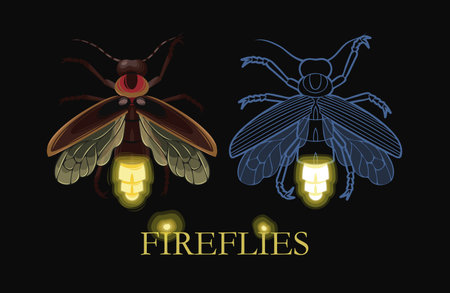 Illustration of glowing fireflyのイラスト素材