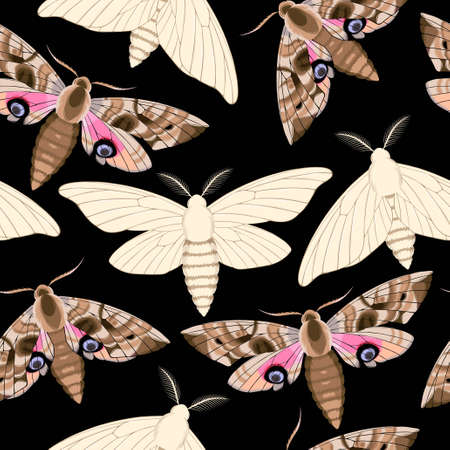 Flying moths seamlessのイラスト素材