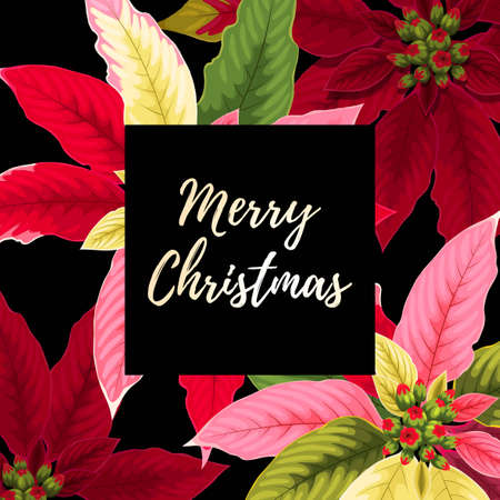 Christmas card with poinsettiaのイラスト素材