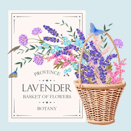 Beautiful lavender and other flowers in basket.のイラスト素材