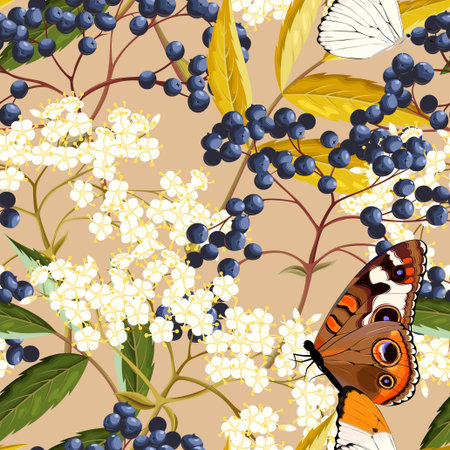 Elderberry and butterflies vector seamless pattern on color backgroundのイラスト素材
