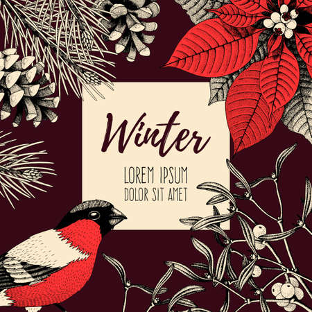 Hand drawn vector vintage card with bullfinch, holly and pine coneのイラスト素材