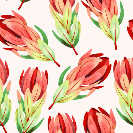 Vector seamless pattern with high detailed protea on white backgroundのイラスト素材