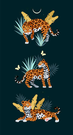 Vector illustration of cute jaguar and palm leavesのイラスト素材
