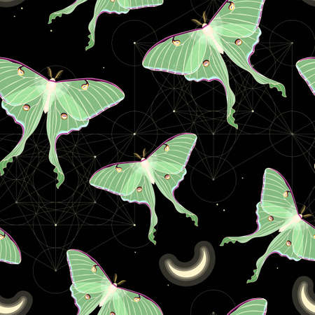 Vector seamless pattern with moon moth and starsのイラスト素材