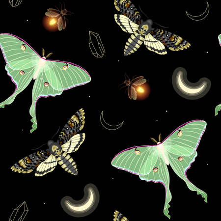Vector seamless pattern with moon moth and starsのイラスト素材
