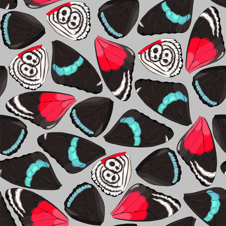 Butterfly and moth wings vector seamless patternのイラスト素材