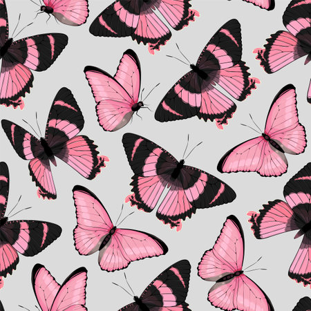 Vector pattern with high detailed tropic butterflyのイラスト素材