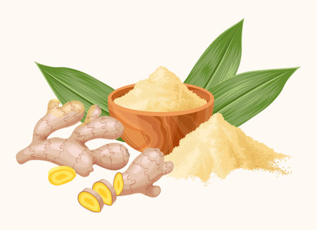 Vector set of ginger roots and powderのイラスト素材