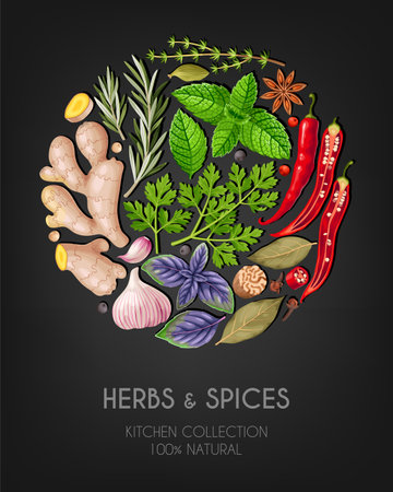 Vector card with high detailed spices and herbsのイラスト素材