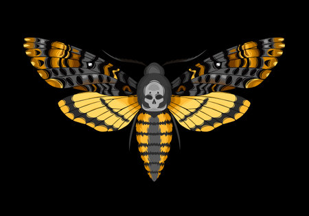 Vector illustration of deaths head hawk mothのイラスト素材