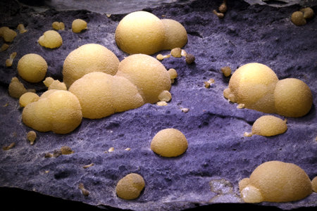 Close up of crystalline spherical aragonite crystals isolated on black background.の写真素材