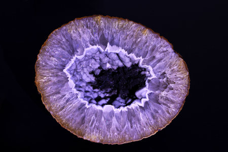 A slice of orange on a black background, closeup of photoの写真素材