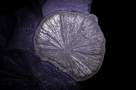 Pyrite on a black background. Pyrite is one of the most valuable minerals.の写真素材