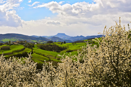 Rural landscape in springtime with flowering trees and mountains in the background. The breathtaking beauty of the Tuscan-Emilian Apennines with the Bismantova rock in the distanceの写真素材