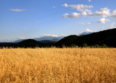 Mountain landscape with blue sky and clouds. The breathtaking beauty of the Tuscan-Emilian Apennines with the Bismantova rock in the distanceの写真素材