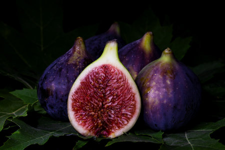 Figs on a black background with leaves. Shallow depth of field.の写真素材