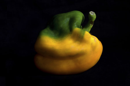 yellow pepper on a black background, close-up of a yellow pepperの写真素材