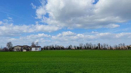 Rural landscape with green field, blue sky and white clouds.の写真素材