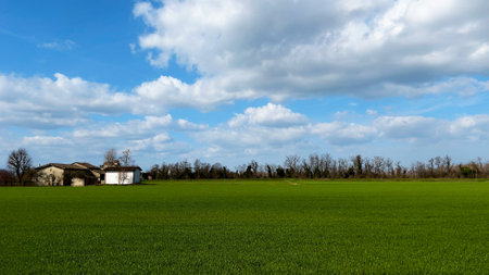Farmhouse in the middle of a green field and blue sky with white cloudsの写真素材