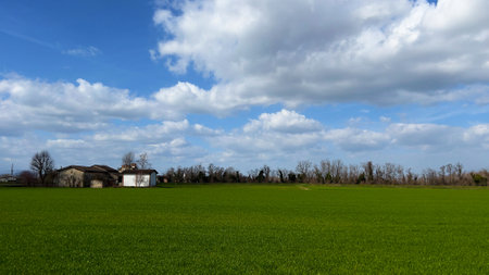 Rural landscape with green field and blue sky with white clouds.の写真素材