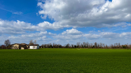 Rural landscape with green grass and blue sky with white clouds.の写真素材